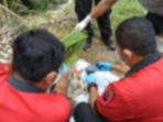 Polres Asahan Berhasil Ungkap Kasus Penemuan Jasad Bayi di Aliran Sungai Sitiotio Asahan