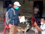 Bidang Peternakan Dan Kesehatan Hewan Kabupaten Nias Barat Laksanakan Vaksin Hewan Ternak